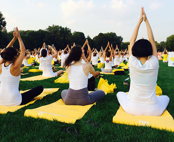 Yoga teachers training diploma